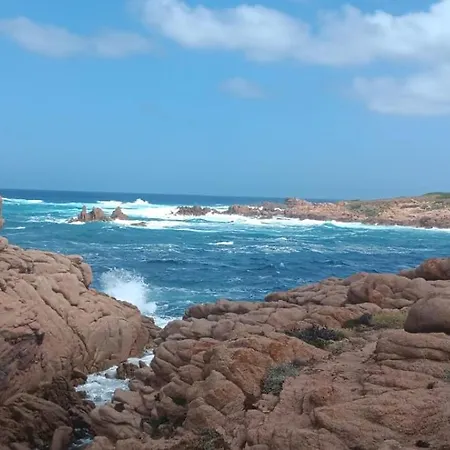 Family Island Viddalba