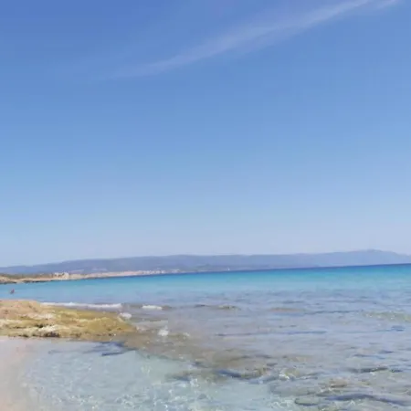 Family Island Viddalba