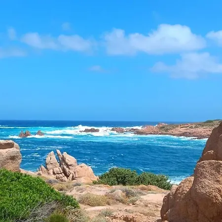 Family Island * Viddalba