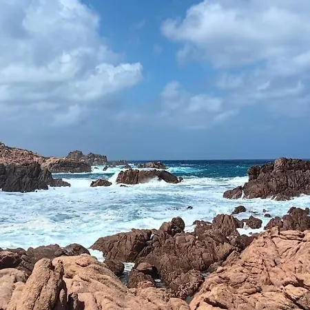 Family Island Viddalba