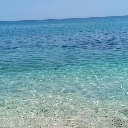 Family Island